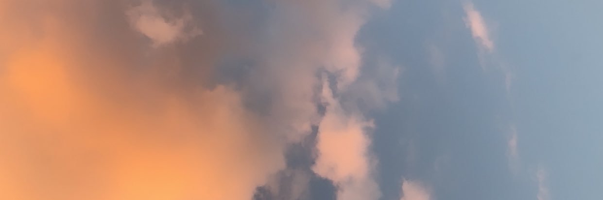 liarodriguess_'s profile banner image