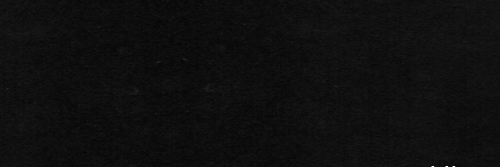 maria laura banner