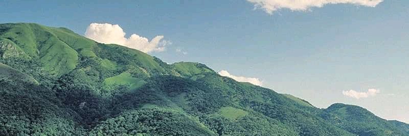 Stéphane, Dr Congo banner