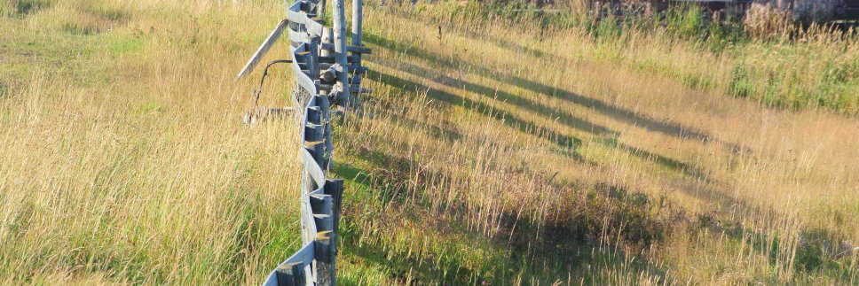 Mikołaj Dądela banner