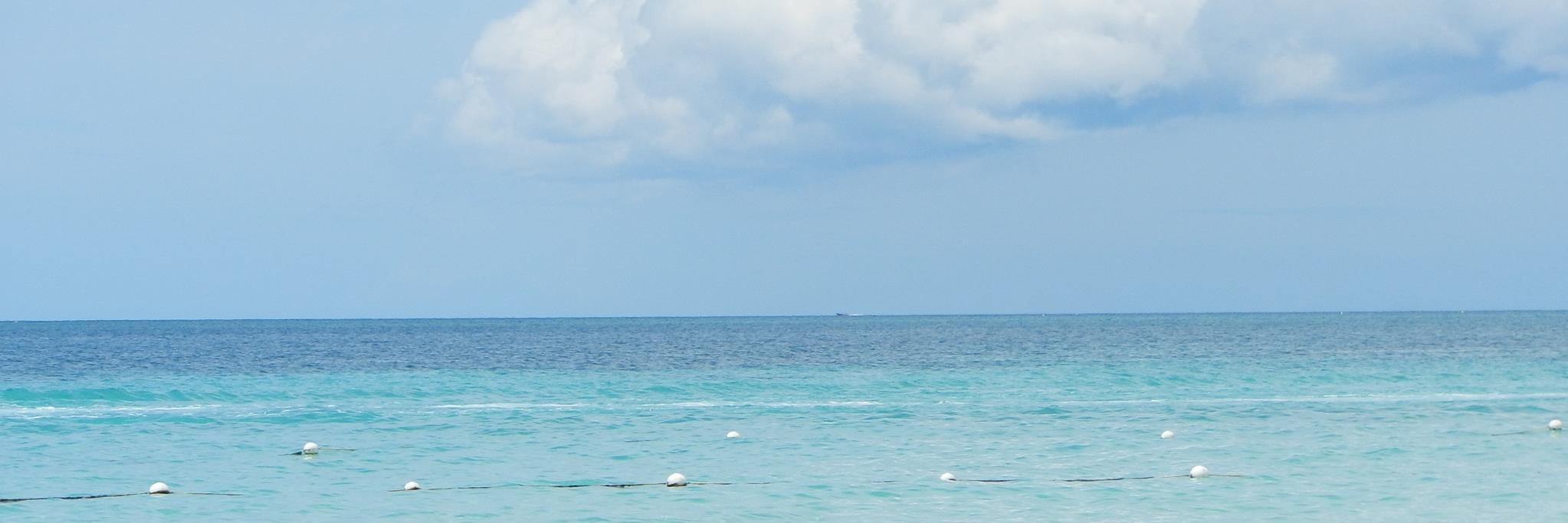 Tracey Wilson banner