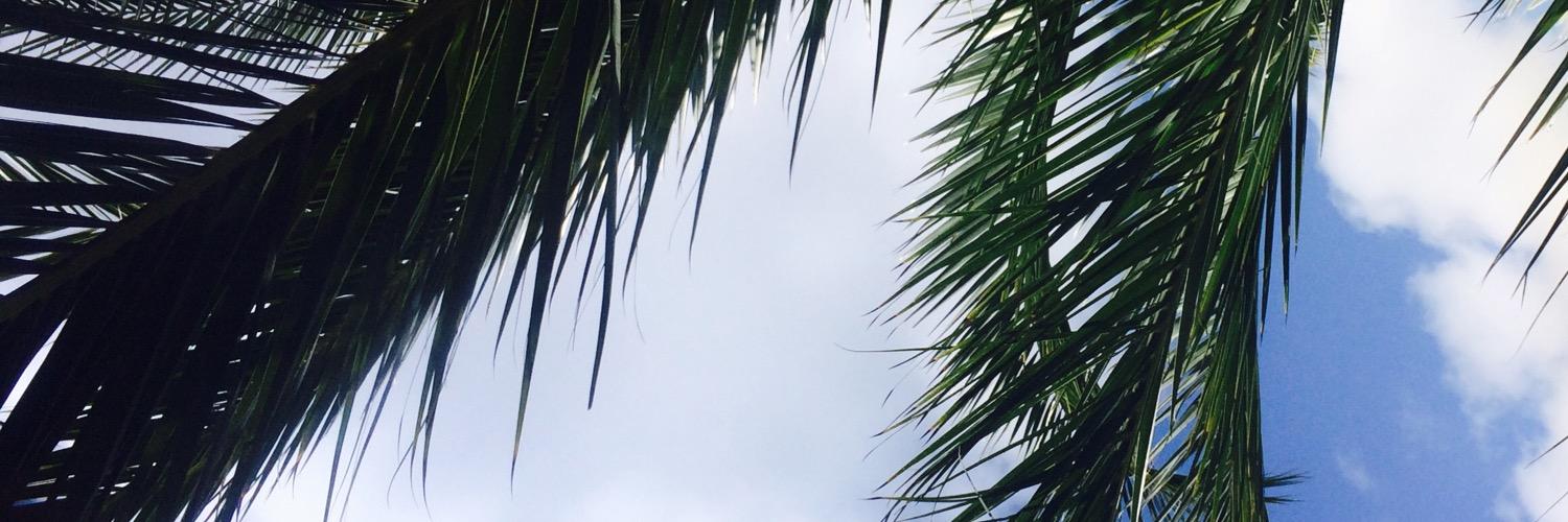 MDS2002TW's profile banner image