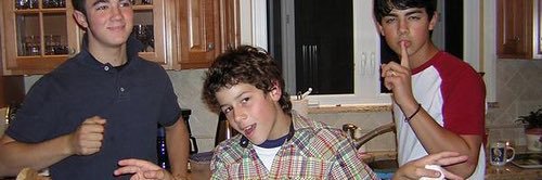 regular sized rudy banner