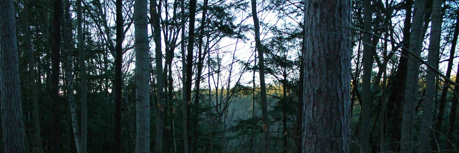 kleinsteuber_'s profile banner image