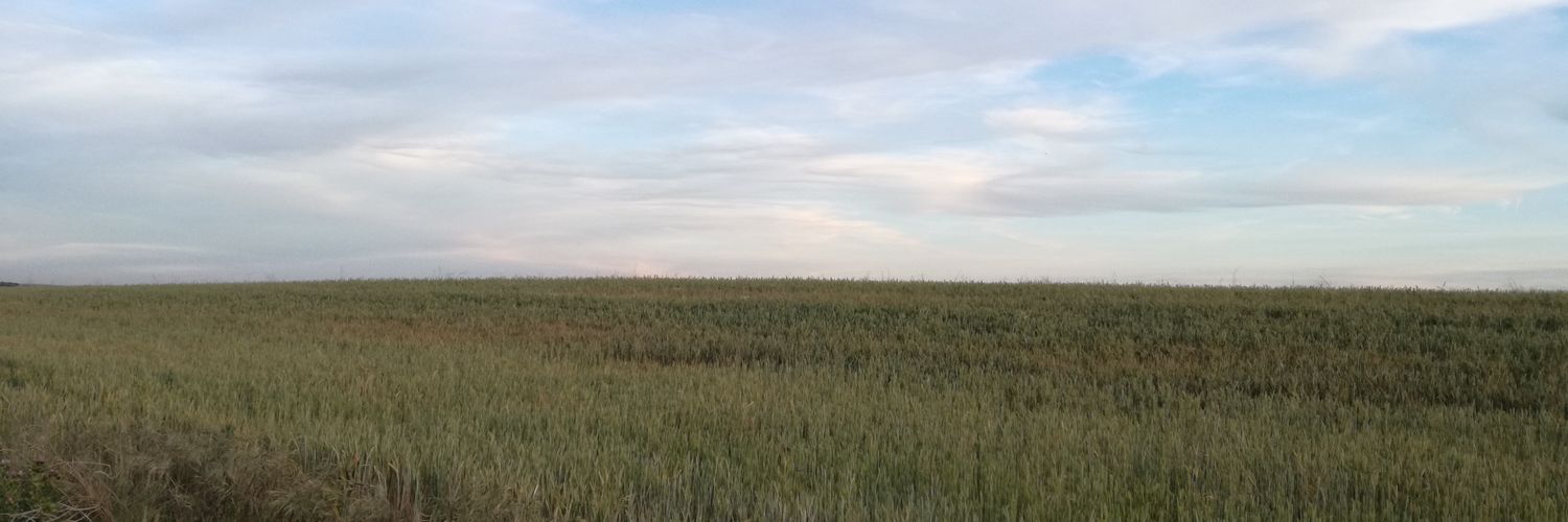 Evitameya's profile banner image