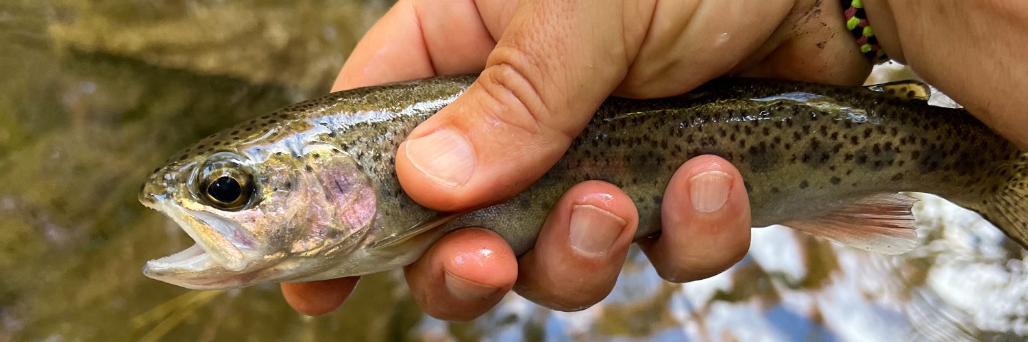 Chris Edgington banner