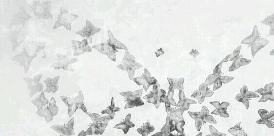 totpertu2013's profile banner image