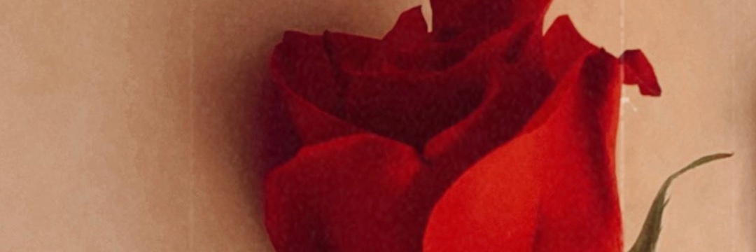 Flower_BombYesi's profile banner image