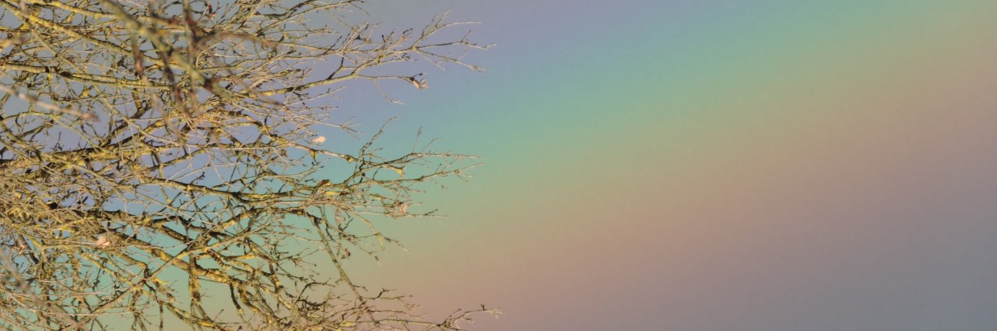 onlybrightness's profile banner image