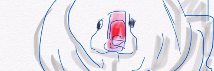 carolceo's profile banner image