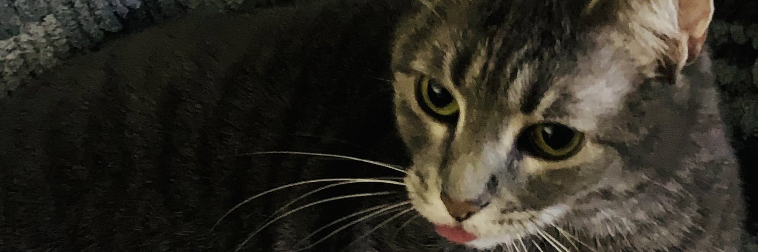 Ripley (The One Without Teeth) banner