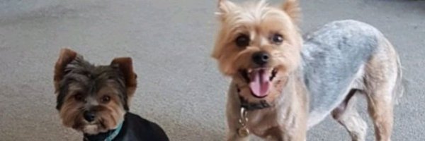 m25dave Profile Banner