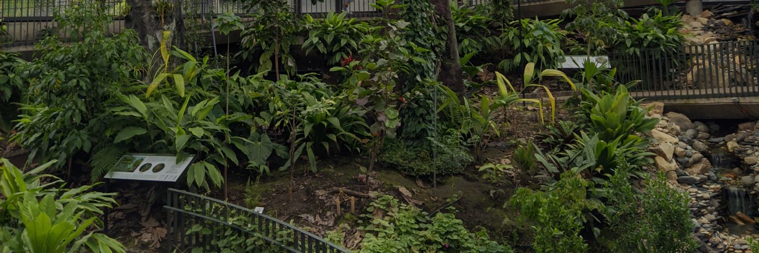 Dapardoh's profile banner image