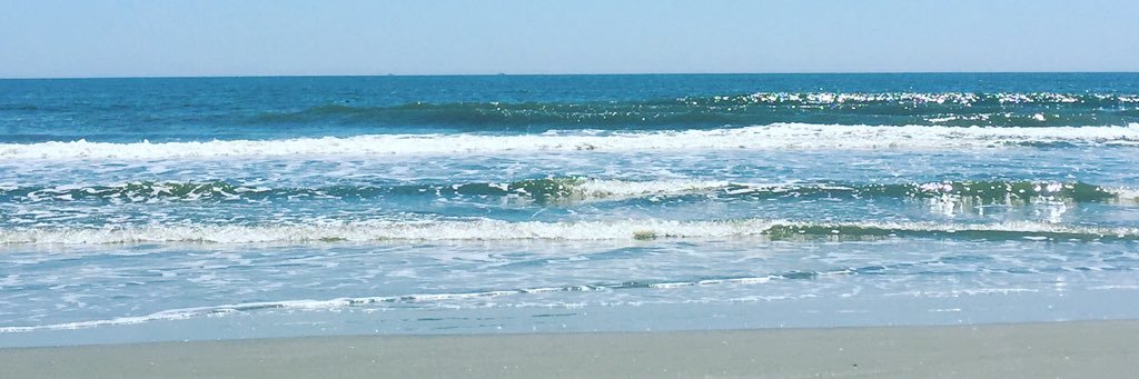 Maria Thacker Goethe banner