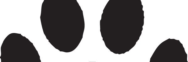 WolfgangClass's profile banner image