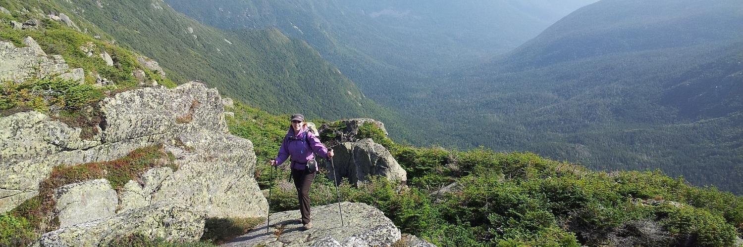 SaraStashick's profile banner image