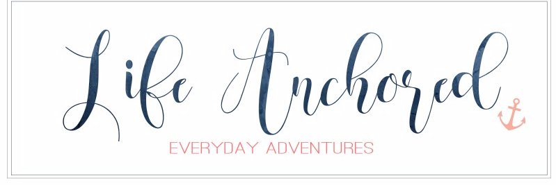 Lani Derrick | Texas Lifestyle Blogger banner