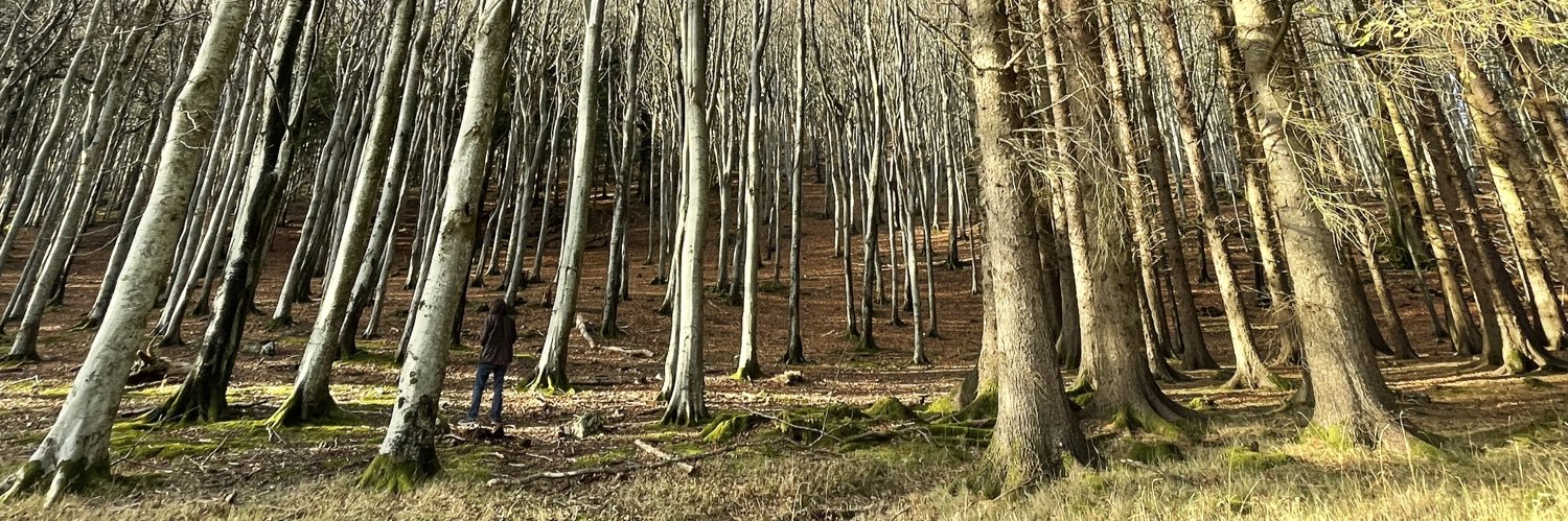 VlachouNeuroLab_DCU banner