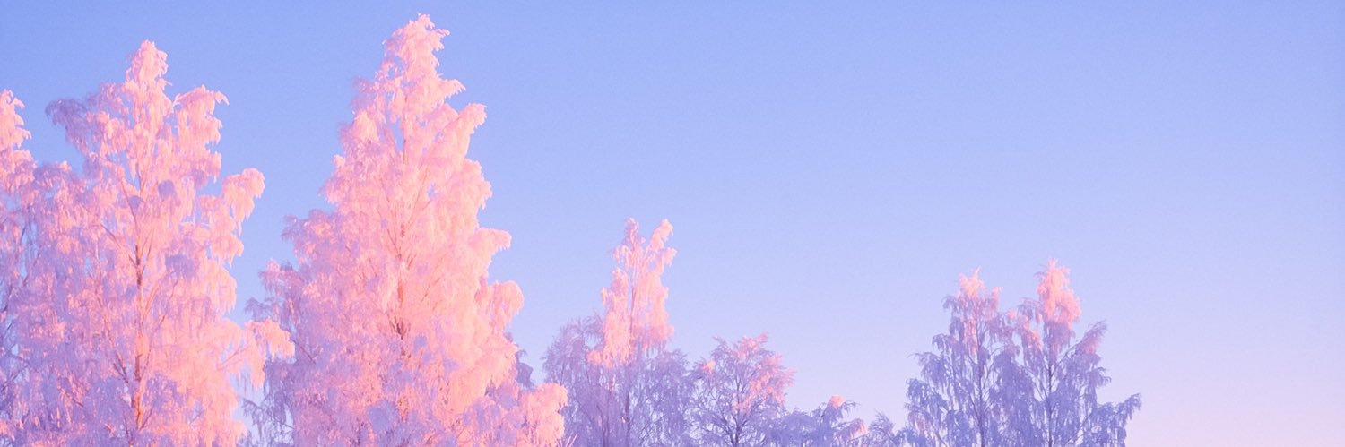 Ellephantxo's profile banner image