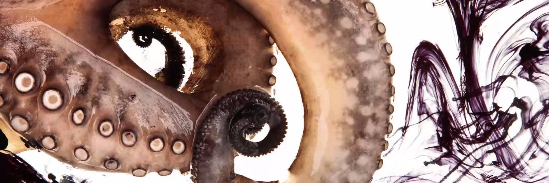 jordibross's profile banner image