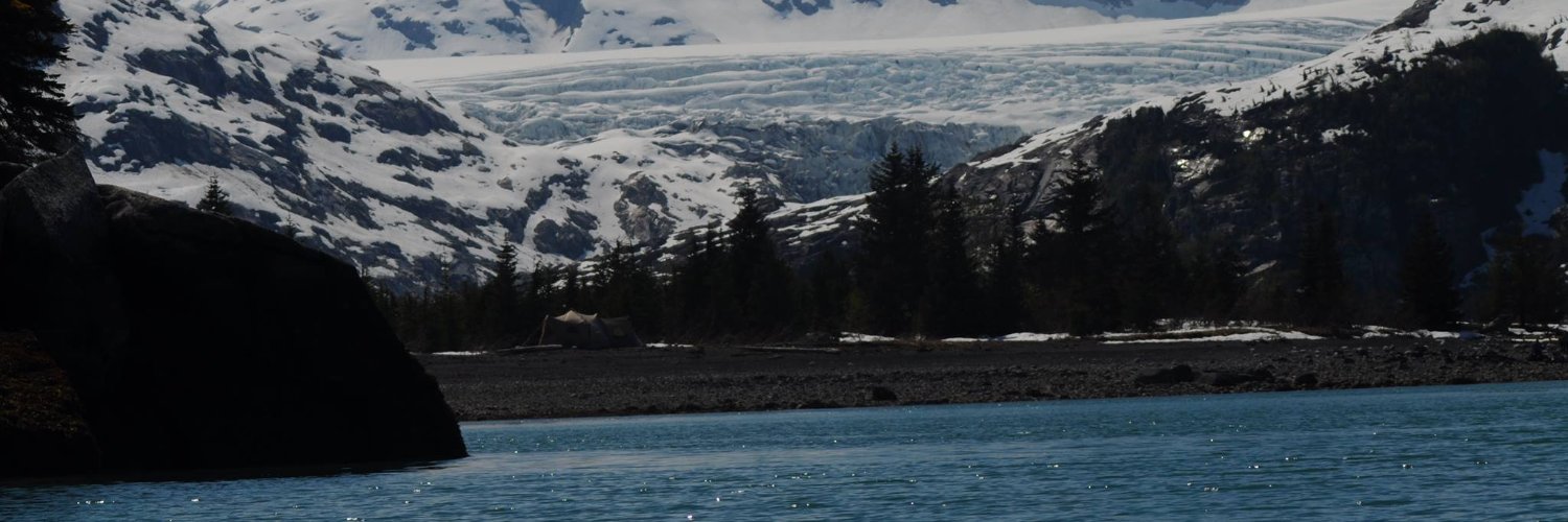 alaskafurrycat's profile banner image