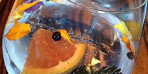 Gin and Tonic Daily banner