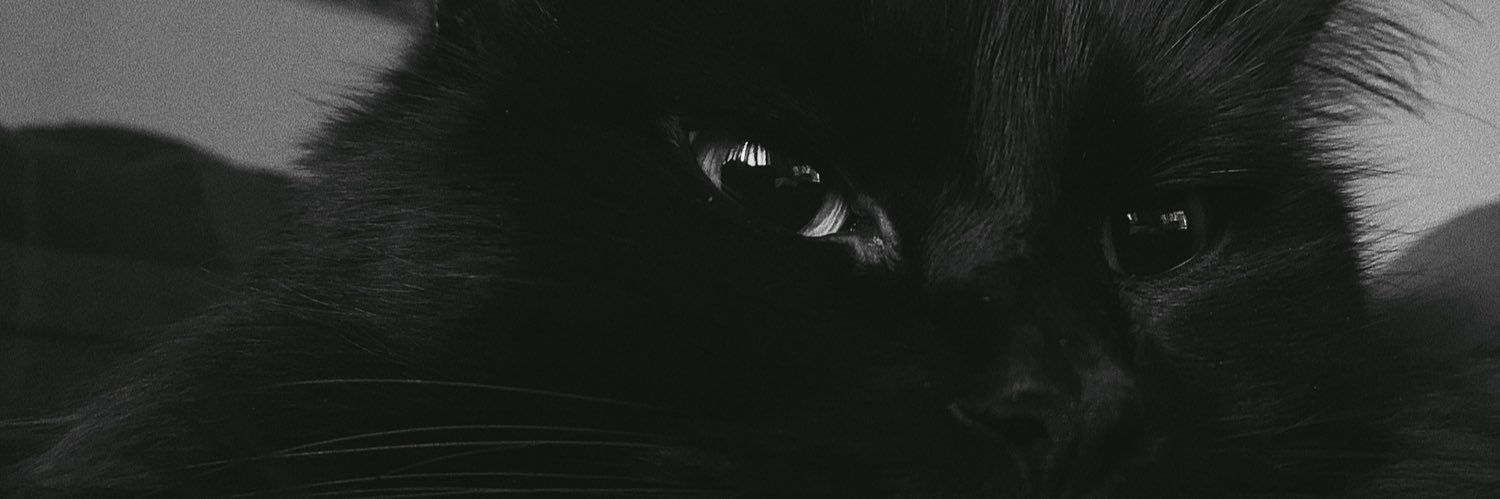 BakedJerry's profile banner image