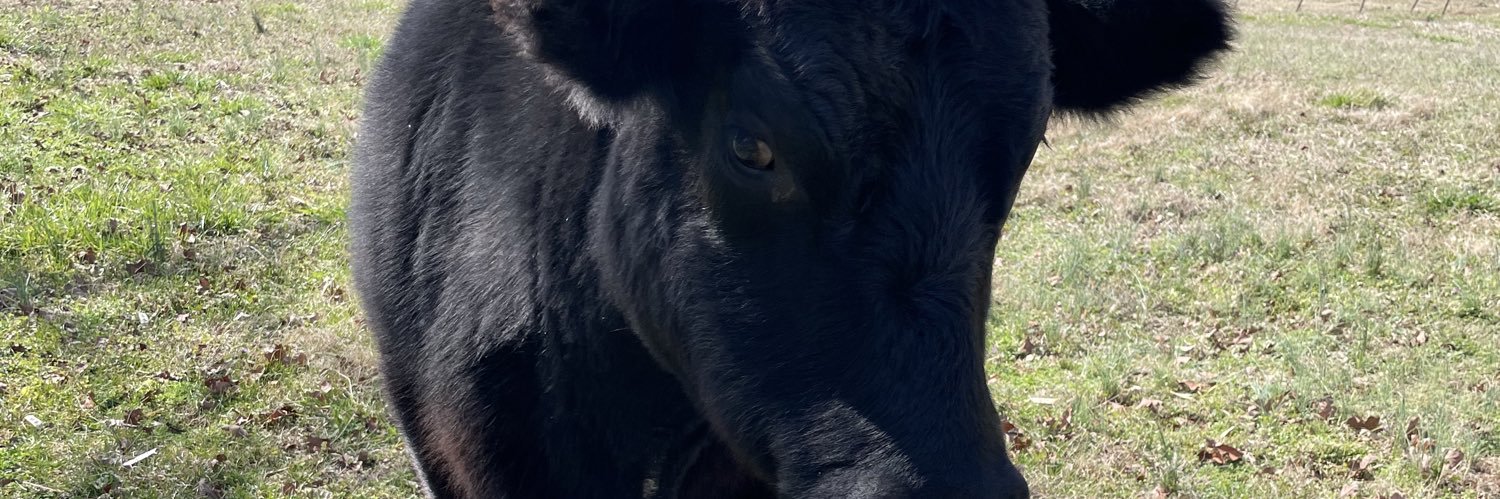 slashflex91's profile banner image