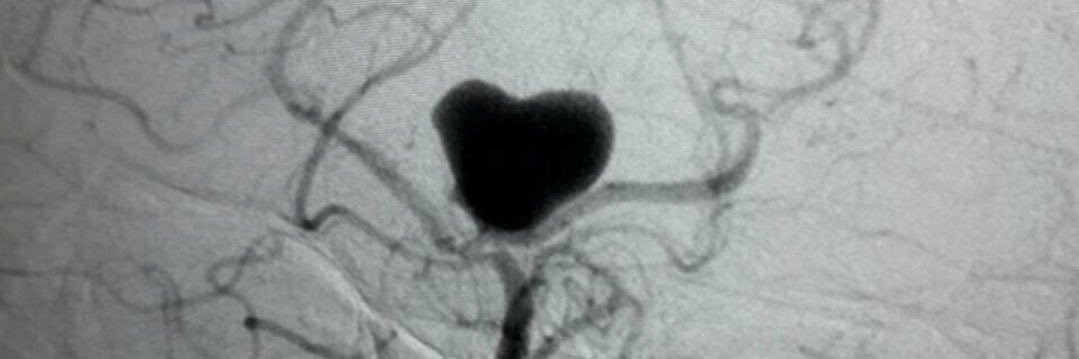 Sonia Aixut Lorenzo banner