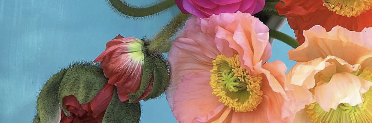 MeagMarty's profile banner image