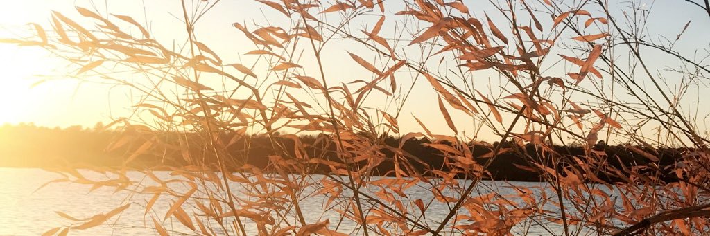 Awal38_'s profile banner image