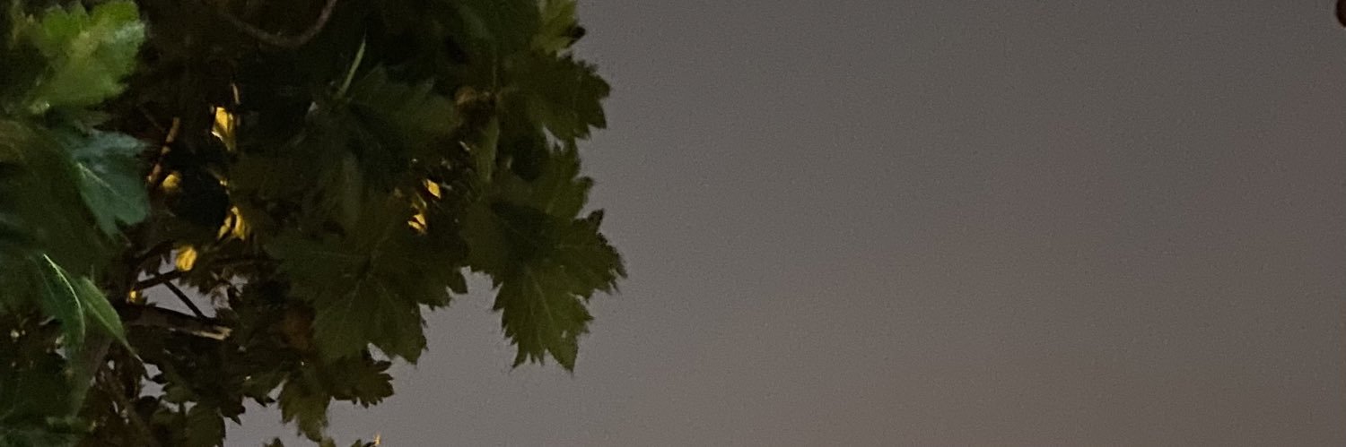 Levantue's profile banner image