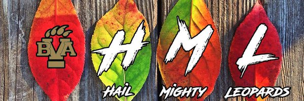 BVASDinfo Profile Banner