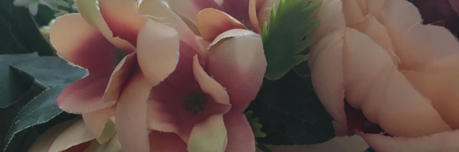catfa50's profile banner image