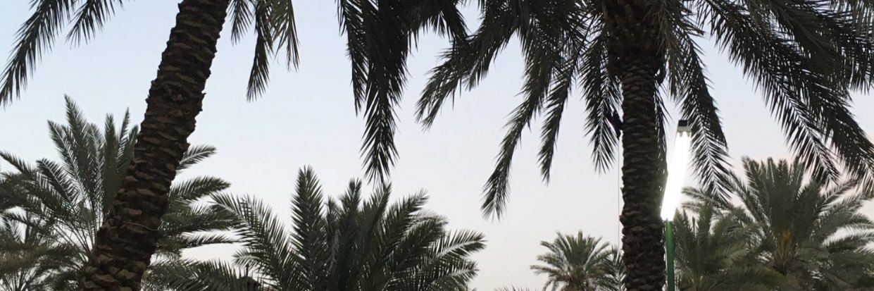 sabr165's profile banner image