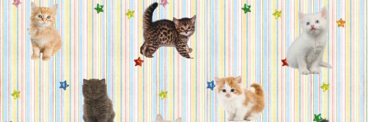 gatitoooi's profile banner image