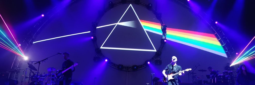 Blindfuchs 📯💚 banner