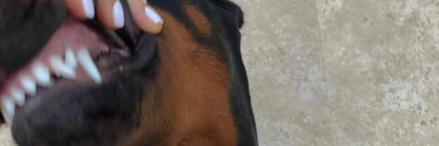 jennyymmm's profile banner image