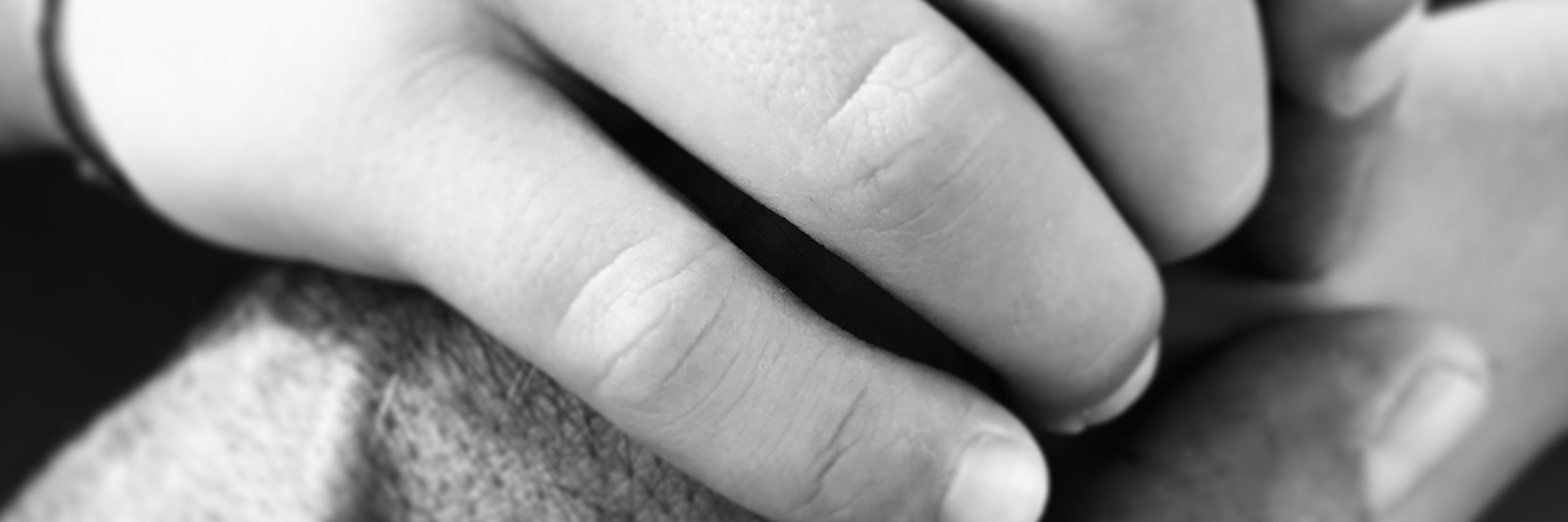 ricdefilippis's profile banner image
