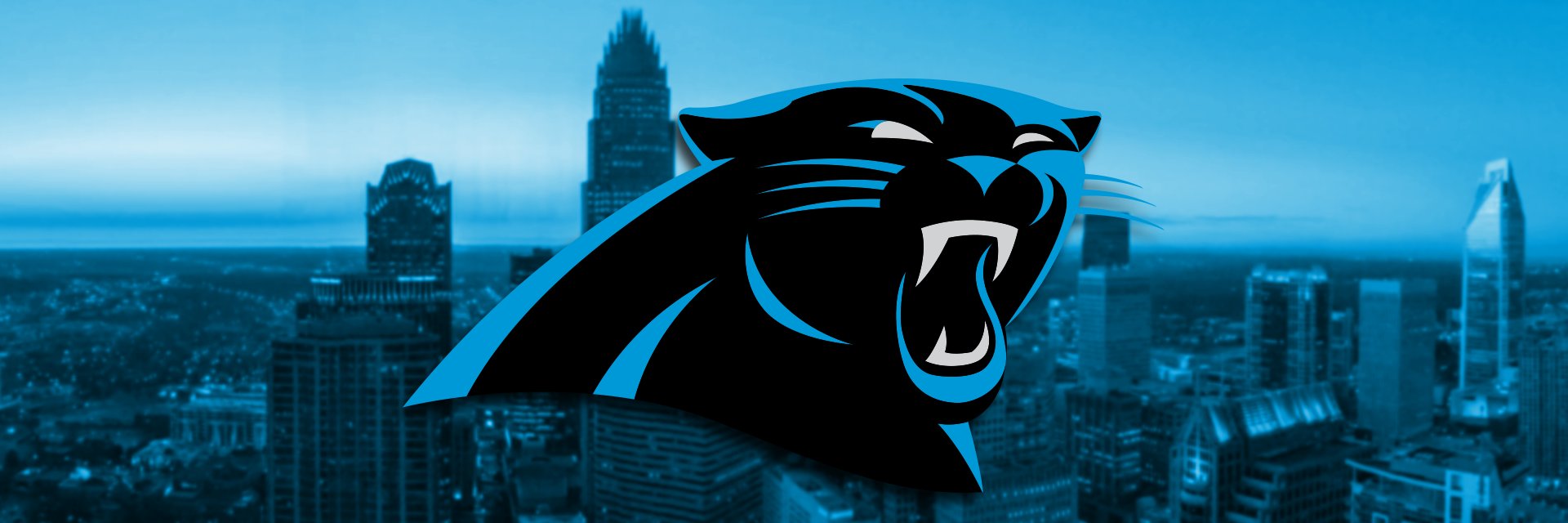 PanthersBR's profile banner image
