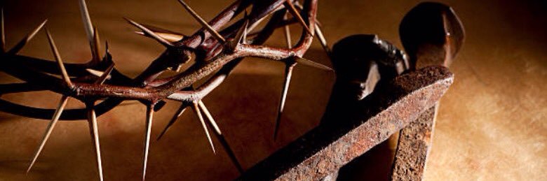 PharaohsMom 🐾🐾🐾 banner