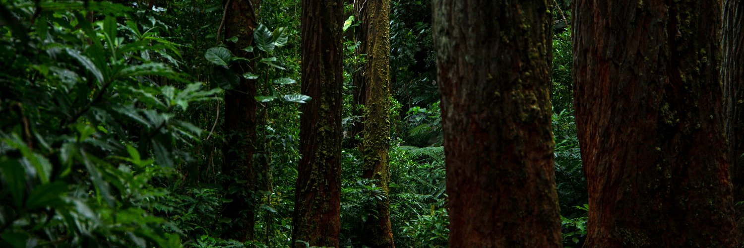soamdjo's profile banner image