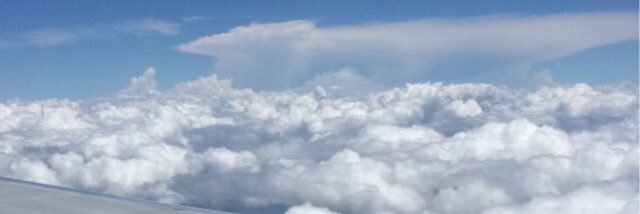 Halies_way's profile banner image