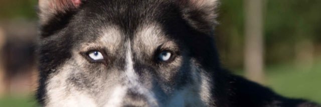 afayolle83's profile banner image