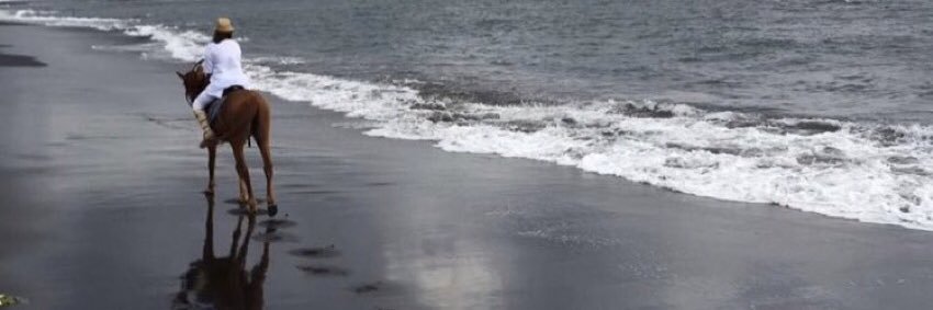 athoourii's profile banner image
