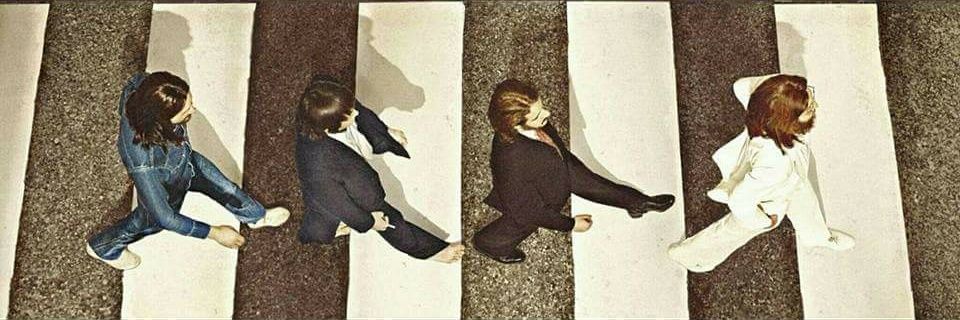 ☪️arolina banner