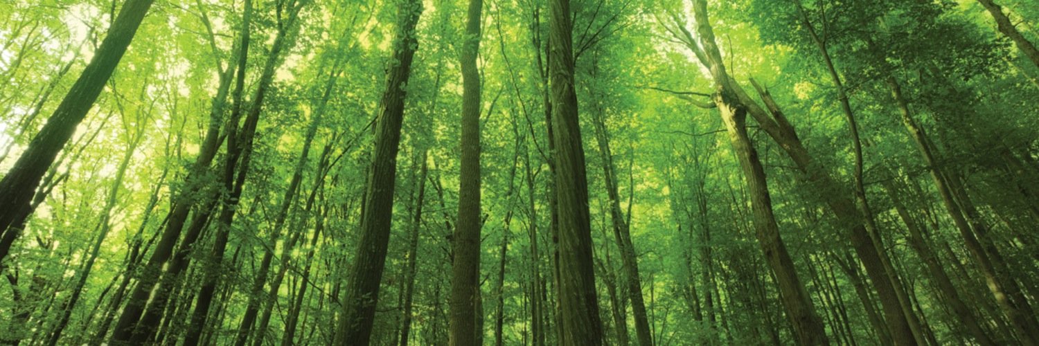 verdongroup's profile banner image