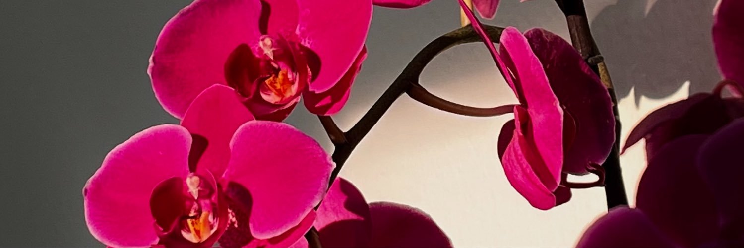 Dime_Ivon's profile banner image