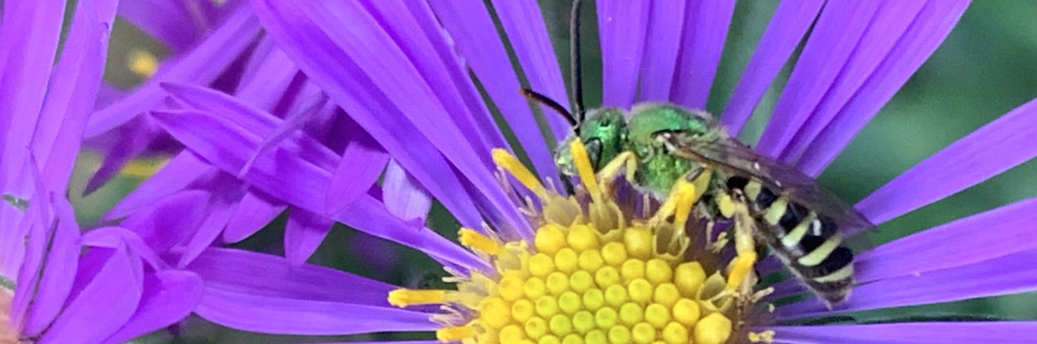 run.with.clouds.mom banner