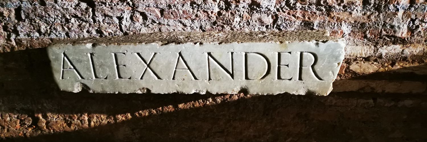 Alex banner
